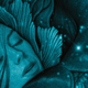 All Images: Macmillan Publishing Group